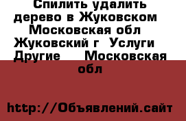 Спилить удалить дерево в Жуковском - Московская обл., Жуковский г. Услуги » Другие   . Московская обл.